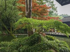 -杭州植物园