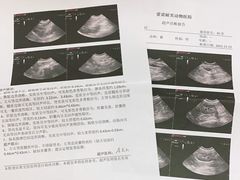 -爱诺耐芙动物医院(万博店)