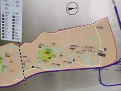 -桤木河湿地公园