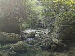 -临街徽菜馆·正宗黄山味