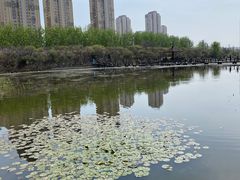 -前关湿地公园