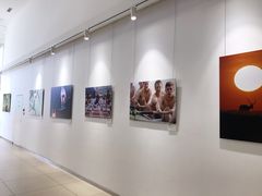 -Sony Store索尼(广州正佳店)
