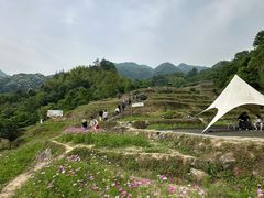 -石台牯牛降景区