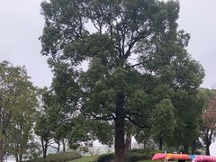 -上海月湖雕塑公园