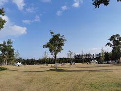 -上海长兴岛郊野公园