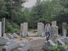 -北京鹫峰国家森林公园