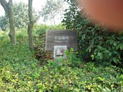 android_upload_pic-天目湖涵田度假村