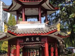 -温江公园
