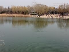 -大兴滨河森林公园