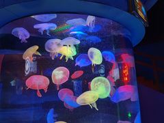 -太平洋海底世界