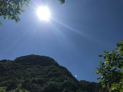 景点-太平万花山景区