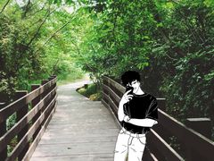 -盘龙城国家考古遗址公园