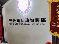 -宠爱国际动物医院·疑难骨科·心肾内科·皮肤科(太阳宫店)
