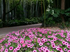 -苏州河梦清园环保主题公园