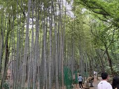 -虞山风景区