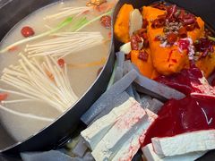 -赵美丽·重庆社区火锅·直营店(火车东站·中豪国际店)