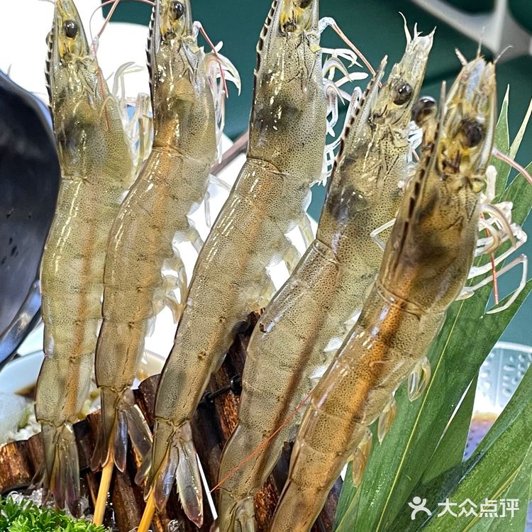 南阳本地人 吃过无数次的店 你不会还没吃过吧