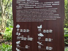 -华侨城湿地公园