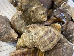 -海鲜e族(马王堆店)