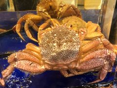 -蟹道乐(道顿堀本店)