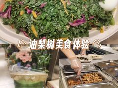 -油梨树AVOCADO TREE(嘉里中心店)