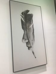 -贞禾医美·连锁