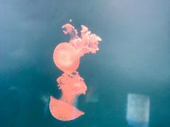 -长春农博园