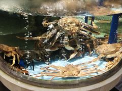 -乐在集市海鲜大排档(平潭店)