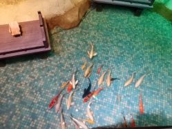 -酷嗒动物文化乐园(cutezoo西溪乐天城店)