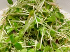 -解家河南菜(金水路店)