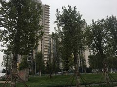 -龙头寺公园