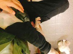 -猫色咖啡·猫咖