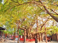 -浮来山风景区