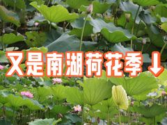 -成都南湖公园