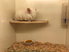 -龙猫仔乐园(惠福东路店)