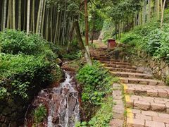 -莫干山风景区