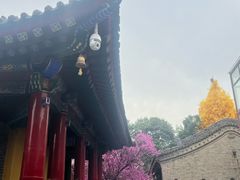 -西安市广仁寺