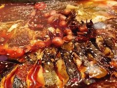 -重庆烤鱼(武吉士店)