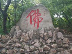 -北山公园