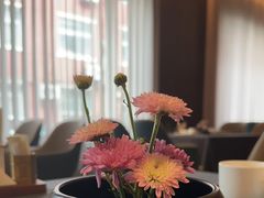 -喜湘宴·精致湖南菜(和平西桥店)