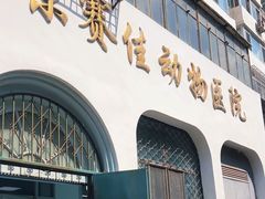 -北京赛佳动物医院