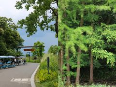 -东钱湖旅游度假区