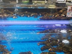 -盒马鲜生(公园1903店)