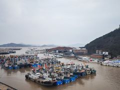 -沈家门渔港