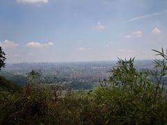 -杭州半山国家森林公园