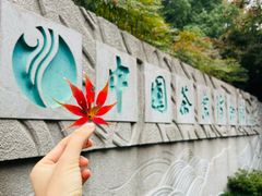-中国茶叶博物馆(双峰馆区)