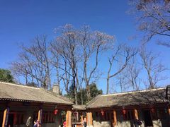 -云南民族村