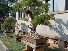 -中山公园