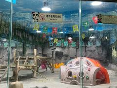 -栾川竹海野生动物园