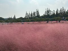 -嘉北郊野公园